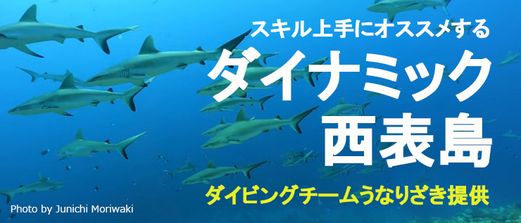 ダイナミック西表島