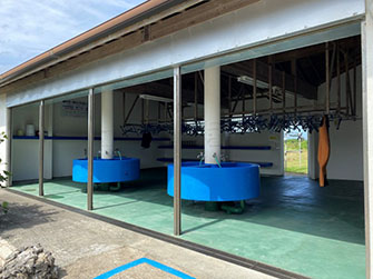 道を挟んでダイビングサービスの向かいには建物1棟がダイビング器材の洗い場&干し場、保管用の棚があります。裏側に器材やスーツを干すこともできます