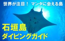 石垣島ダイビングガイド