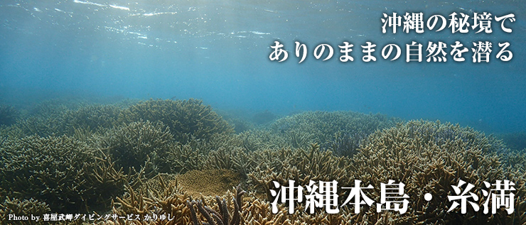 久米島ダイビング&旅ガイド