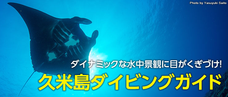 ダイナミックな水中景観に目がくぎづけ！ 久米島ダイビングガイド