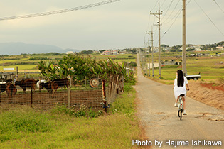 島内ではレンタサイクルをして自転車で巡ってみるのもおすすめ。普段と違った沖縄が楽しめる