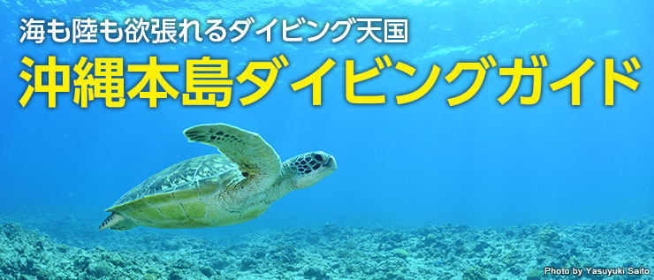 海も陸も欲張れるダイビング天国 沖縄本島ダイビングガイド