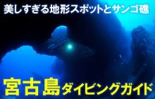 神秘の地形ダイビング！ 宮古島のダイビング/グルメ/ホテル/アクセス情報