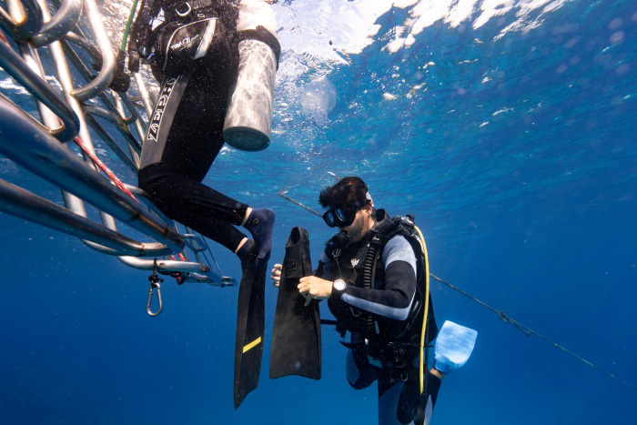 事前に頼んでおけばエグジット時に器材やフィンを外してもらえます