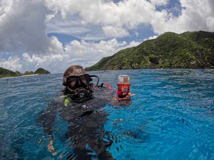 写真はイメージ