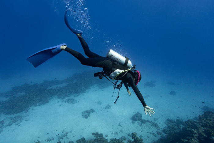 写真と本文は関係ありません