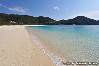 約800ｍの長さの阿波連ビーチは、渡嘉敷島を代表するビーチ。沖にいくつものダイビングスポットがあります