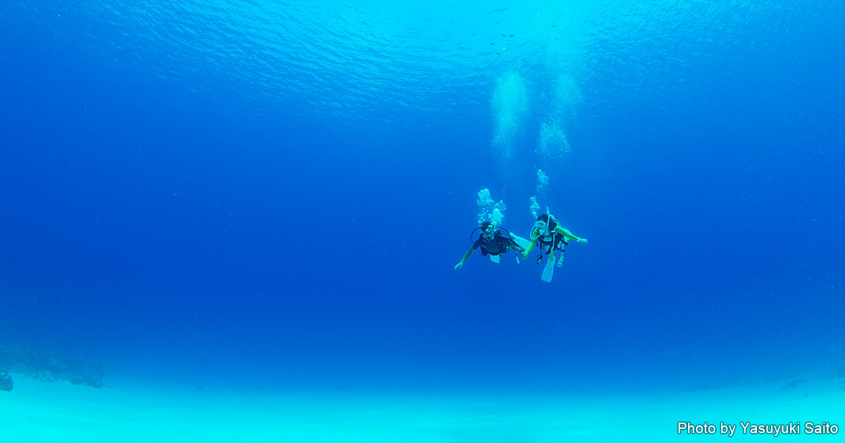 那覇滞在で沖縄離島ダイビングを満喫する方法 エリア情報 Marine Diving Web マリンダイビングウェブ