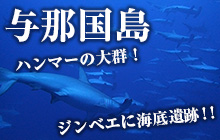 ハンマーの大群、ジンベエに海底遺跡!!　日本最西端のダイバー天国・与那国島