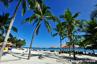 島一番の美しいホワイトビーチを持つ《サウスパームスリゾート》。ビタミンカラーのビーチチェアやパラソルがリゾート気分を盛り上げてくれる