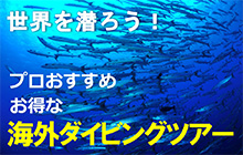 専門旅行会社おすすめ海外ダイビングツアー