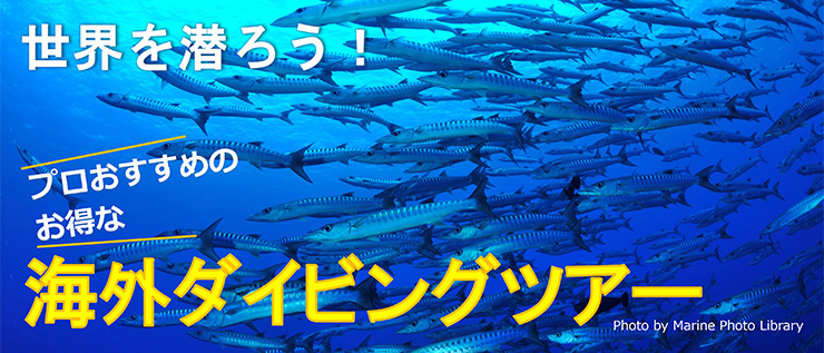 おすすめ海外ダイビングツアー