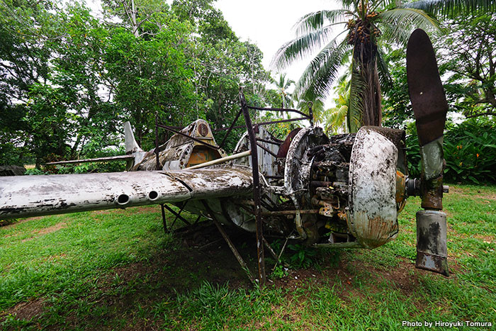 屋外の美しい庭に太平洋戦争時に使用された飛行機や大砲などが陳列されているビル戦争博物館（Vilu War Museum）