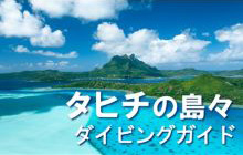 タヒチの島々ダイビングガイド