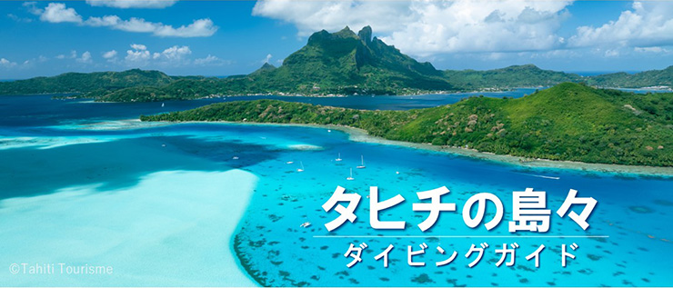 タヒチの島々ダイブガイド