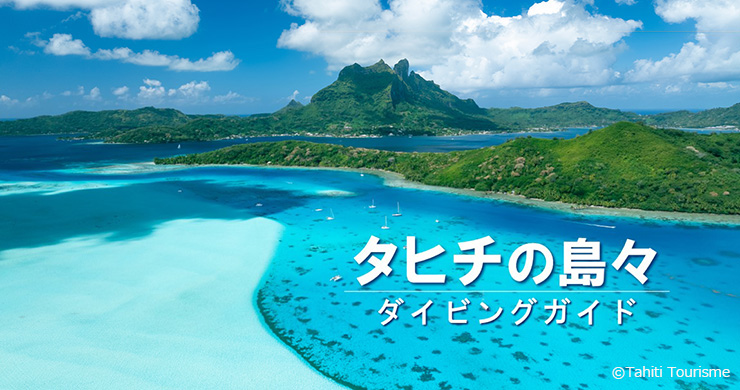 タヒチの島々ダイビングガイド｜海外｜エリア情報｜Marine Diving web