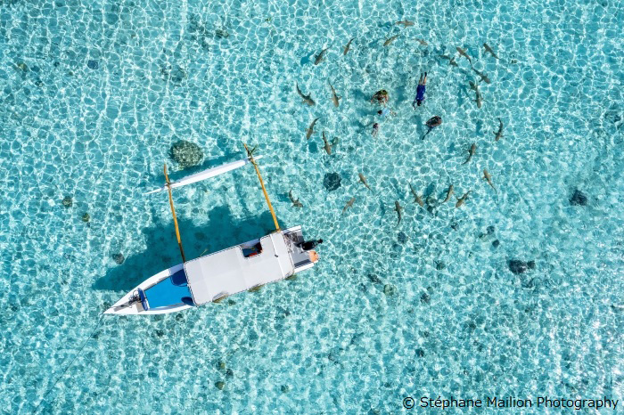 浅瀬にはブラックチップリーフシャークが多く、スノーケリングも楽しめる