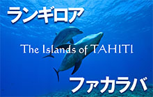 ランギロア&ファカラバを高砂淳二が撮影