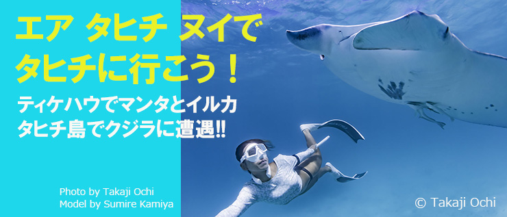 エア タヒチ ヌイでタヒチに行こう！