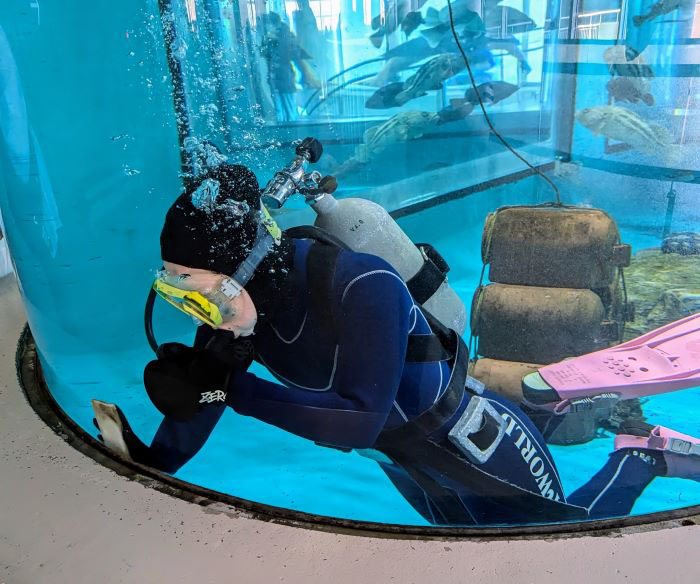 ダイバーが水槽内の掃除をしているから、美しい光景が保たれているのです