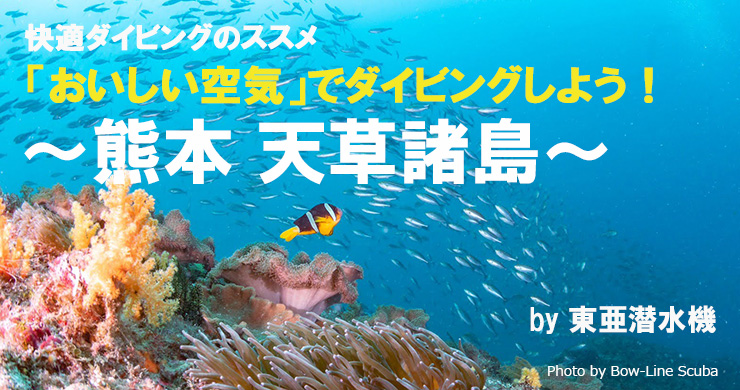 天草諸島をおいしい空気でダイビング｜国内｜エリア情報｜Marine