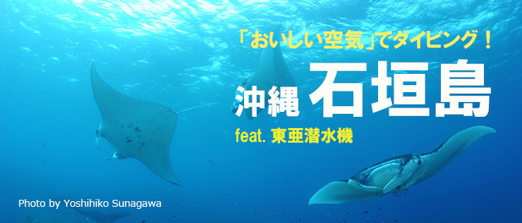 沖縄 石垣島