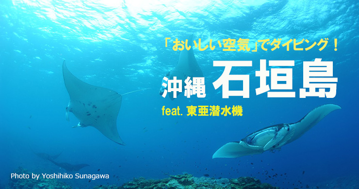 ダイビングワールドビデオ 沖縄編４/マリン企画（単行本） ダイビングワールドビデオ 沖縄編4/マリン企画（単行本） Yahoo
