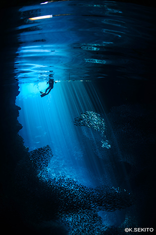 神秘的な美しさの“青の洞窟”。スノーケリングでも楽しめる