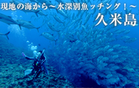現地の海から～水深別魚ッチング！～久米島