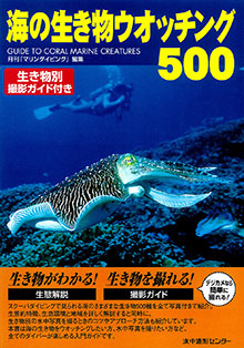 海の生き物ウォッチング500
