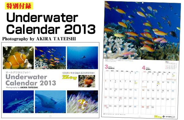 Underwater Calendar 2013