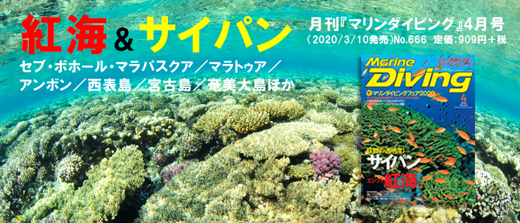 『マリンダイビング』最新号