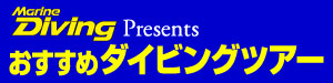 おすすめダイビングツアー
