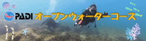 学科講習のeラーニングが半額！