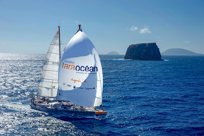 全長36mのスクーナー船「タラ号」　Photo by Sacha Bollet 