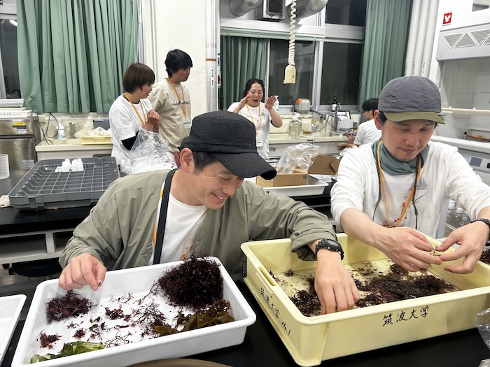 静岡県下田で採取した海藻を種別にソーティングするアーティストたち。海藻を観察できることから、この作業は同行するアーティストが手伝う。海藻はその後、重量測定や炭素同位体分析、分解実験のため研究所に送られる　Photo by Tara Ocean Japan