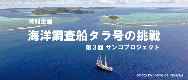 海洋調査船タラ号の挑戦