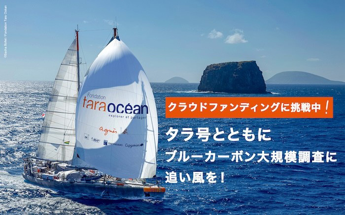 クラウドファンディングは3/4スタート！