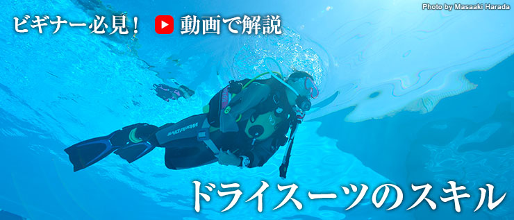 ドライスーツの基本スキル 動画で分かる ビギナー必見 Marine Diving Web マリンダイビングウェブ