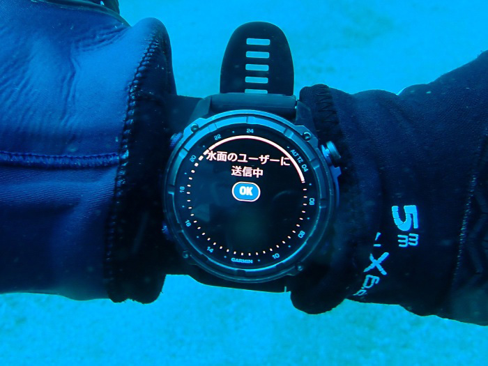 ニシキフウライウオやムレハタタテダイの群れが見られた永橋さん。「OK」とスタッフに返信しました