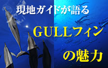 小笠原×神子元2人の現地ガイドが語るGULLフィンの魅力とは？