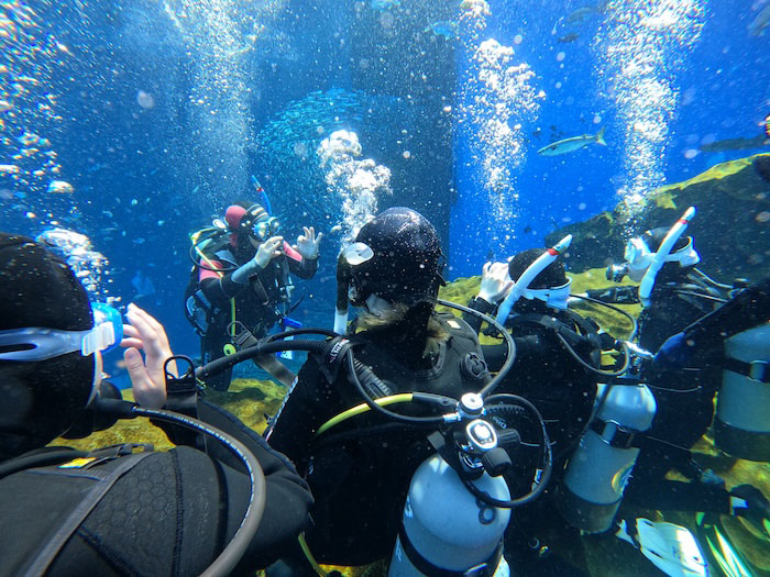 水族館ダイビングは、先々まで予約で埋まるほど大人気のプログラムです！