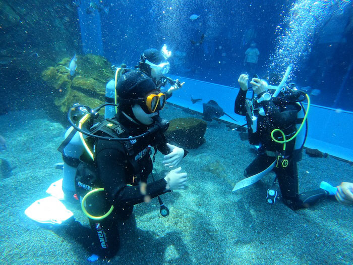 水族館の大水槽で、魚に囲まれながらのライセンス講習は魅力！