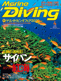 月刊『マリンダイビング』最新刊