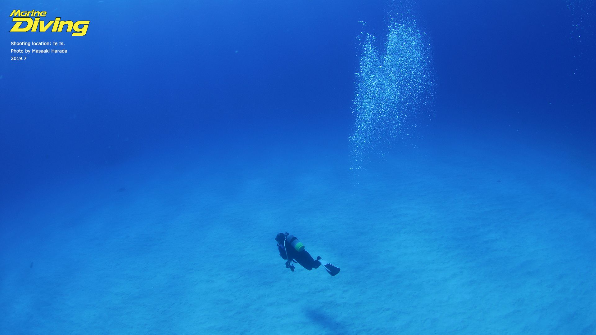 海のバーチャル背景を無料提供 ニュース トピックス Marine Diving Web マリンダイビングウェブ