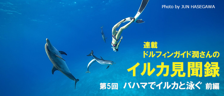 ドルフィンガイド潤さんのイルカ見聞録