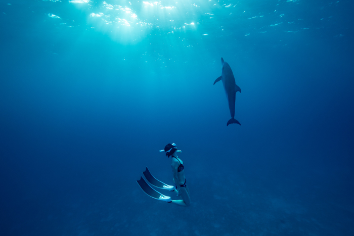 遅い午後の光の中でイルカと泳ぐYuki(2026年7月20日)バハマ・ビミニ諸島　Photo by JUN HASEGAWA