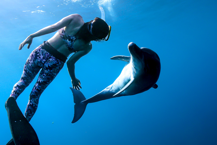 イルカと目を合わせて泳ぐカヨさん①（2023年9月29日 御蔵島）Photo by JUN HASEGAWA