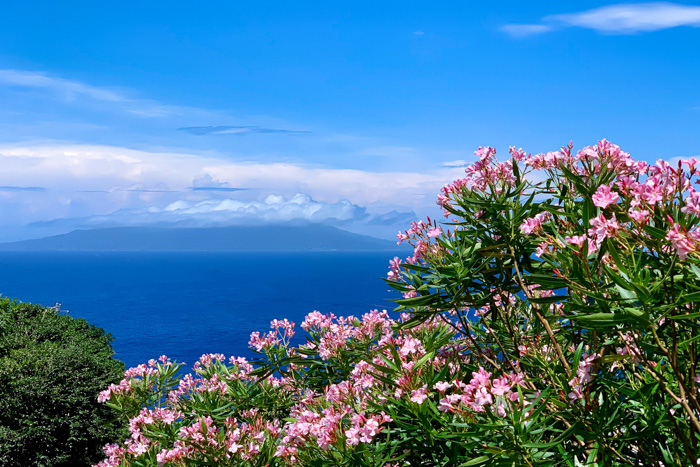 御蔵島の里から三宅島を望む（2020年7月26日） Photo by JUN HASEGAWA